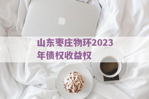 山东枣庄物环2023年债权收益权