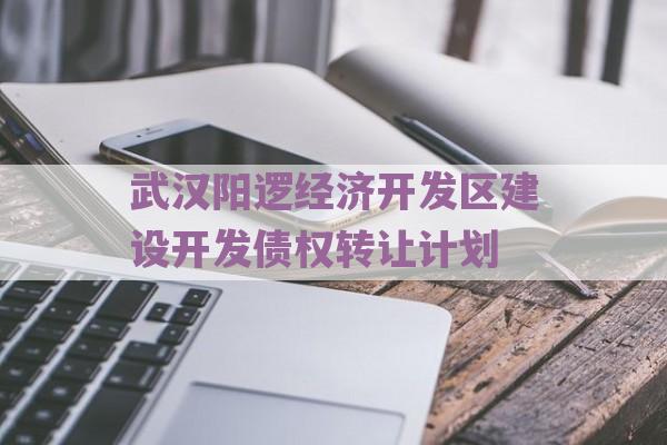 武汉阳逻经济开发区建设开发债权转让计划