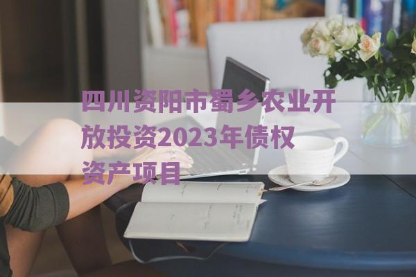 四川资阳市蜀乡农业开放投资2023年债权资产项目