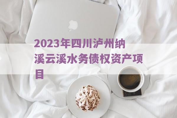 2023年四川泸州纳溪云溪水务债权资产项目