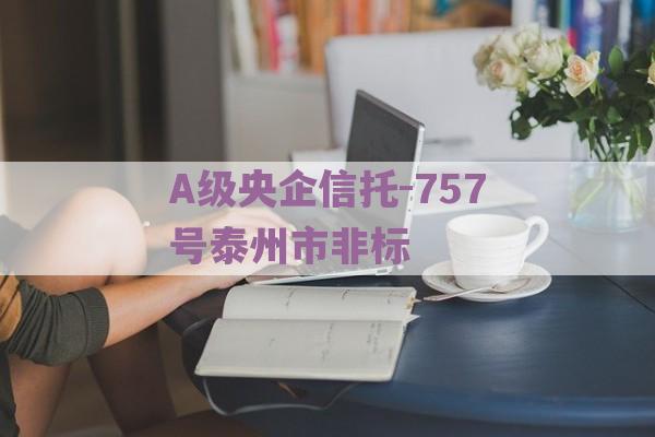 A级央企信托-757号泰州市非标