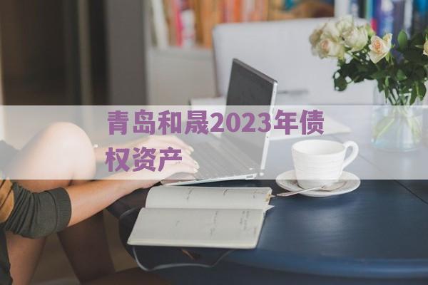 青岛和晟2023年债权资产