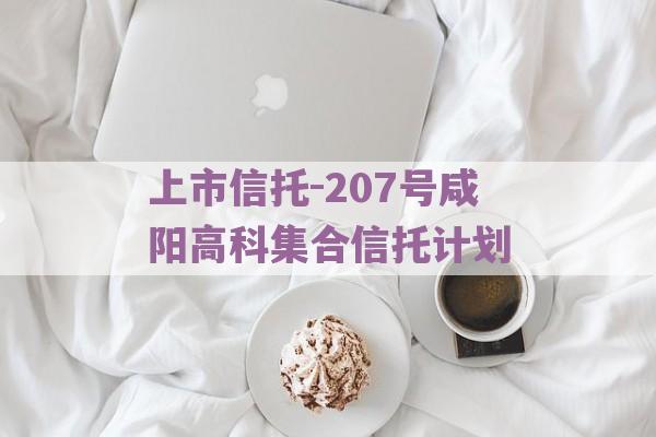 上市信托-207号咸阳高科集合信托计划