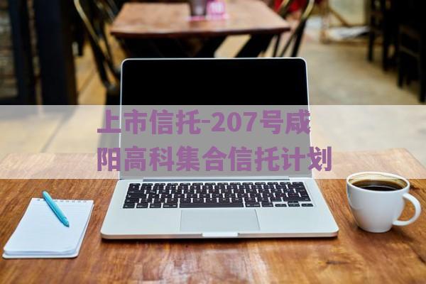 上市信托-207号咸阳高科集合信托计划