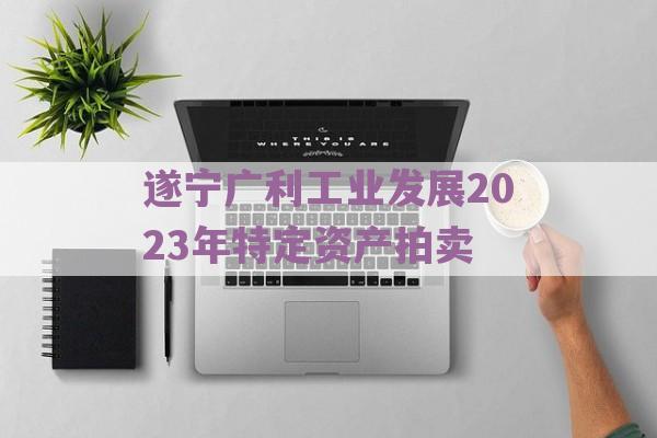 遂宁广利工业发展2023年特定资产拍卖