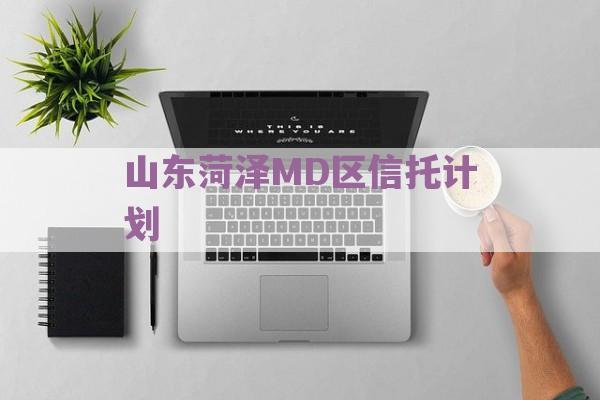 山东菏泽MD区信托计划