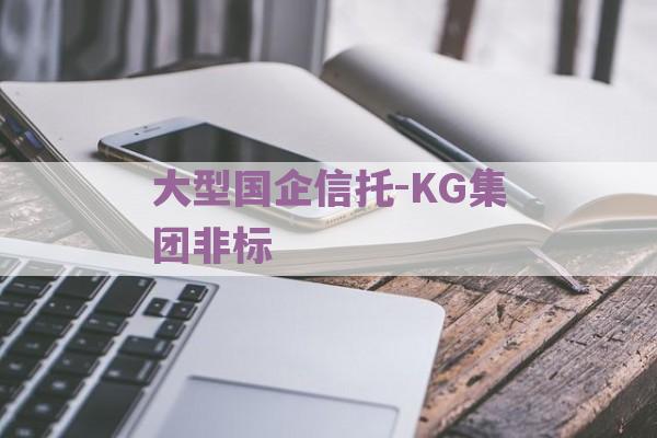 大型国企信托-KG集团非标