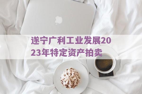 遂宁广利工业发展2023年特定资产拍卖