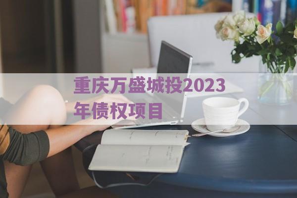 重庆万盛城投2023年债权项目