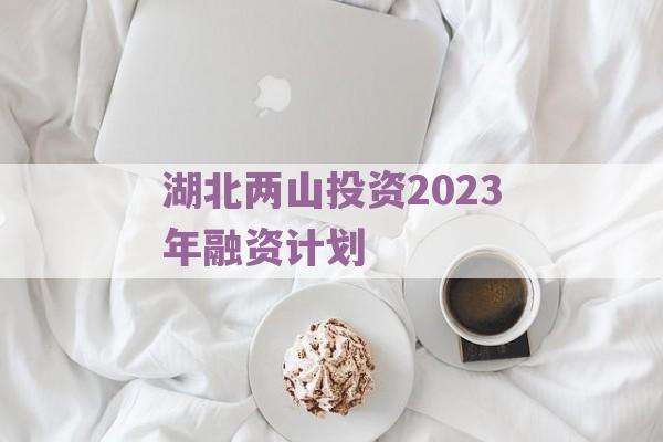 湖北两山投资2023年融资计划