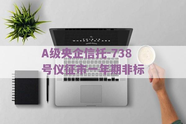 A级央企信托-738号仪征市一年期非标