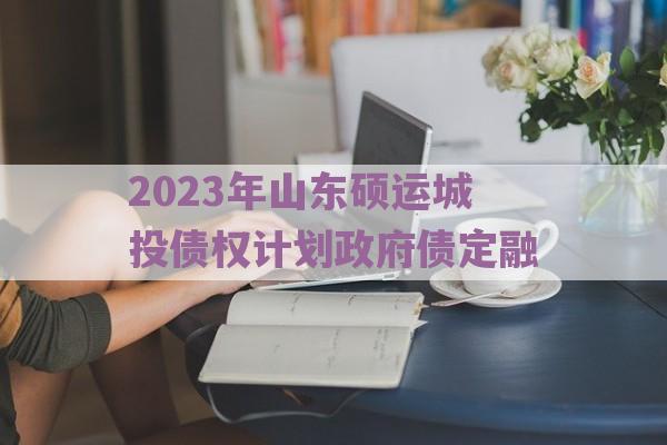 2023年山东硕运城投债权计划政府债定融