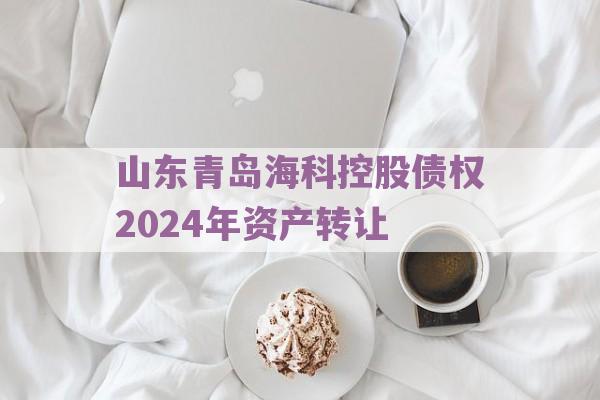 山东青岛海科控股债权2024年资产转让