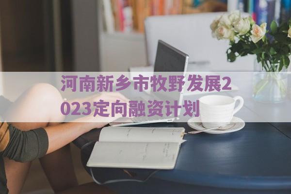 河南新乡市牧野发展2023定向融资计划