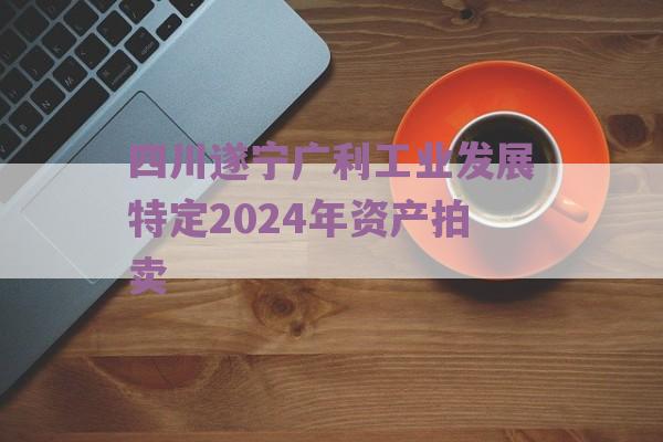 四川遂宁广利工业发展特定2024年资产拍卖