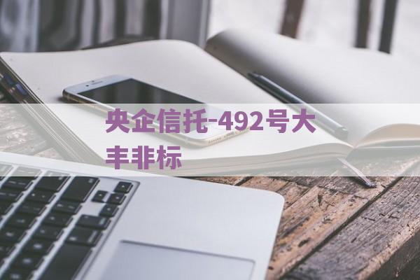 央企信托-492号大丰非标