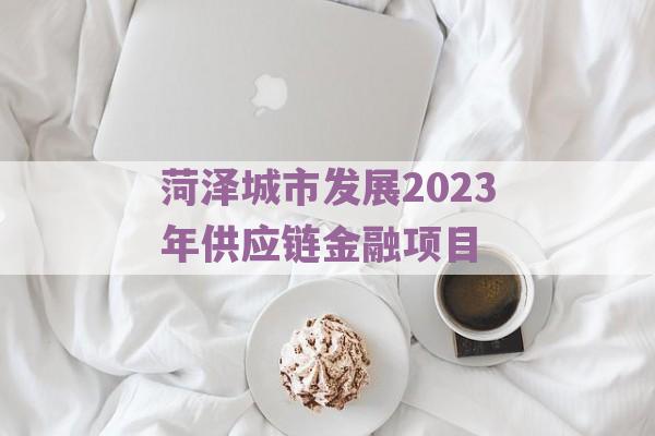 菏泽城市发展2023年供应链金融项目