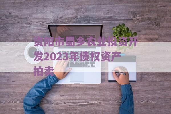 资阳市蜀乡农业投资开发2023年债权资产拍卖