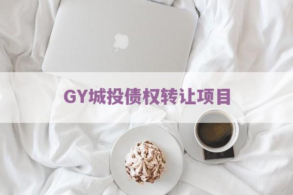 GY城投债权转让项目