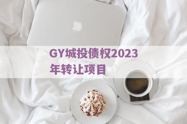 GY城投债权2023年转让项目