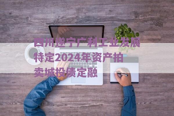 四川遂宁广利工业发展特定2024年资产拍卖城投债定融