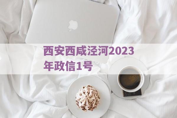 西安西咸泾河2023年政信1号