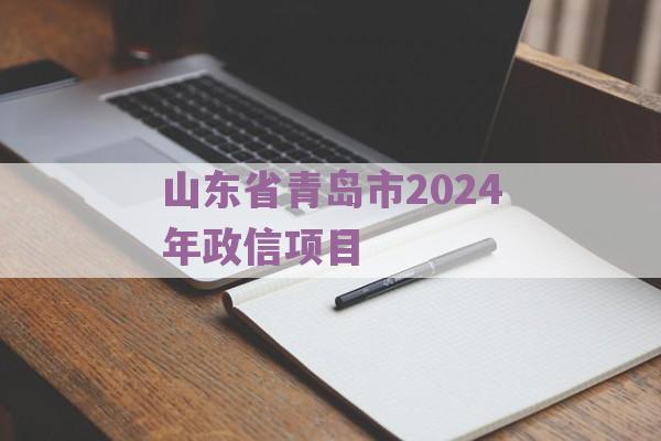 山东省青岛市2024年政信项目