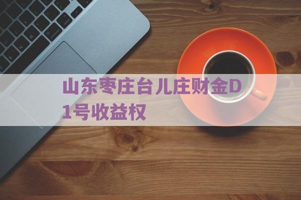 山东枣庄台儿庄财金D1号收益权