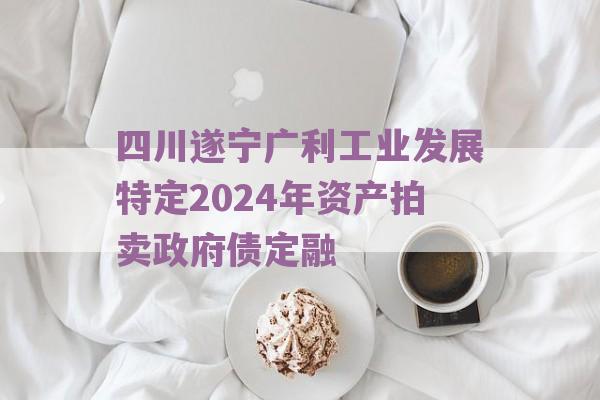 四川遂宁广利工业发展特定2024年资产拍卖政府债定融