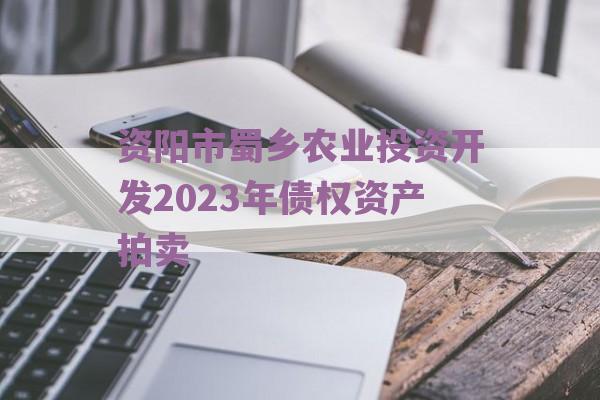 资阳市蜀乡农业投资开发2023年债权资产拍卖