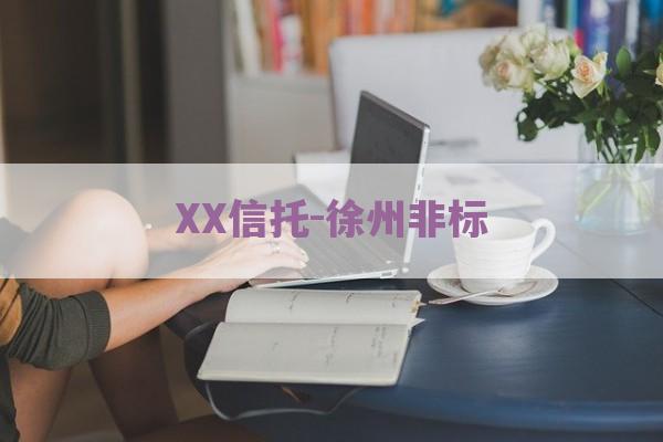 XX信托-徐州非标