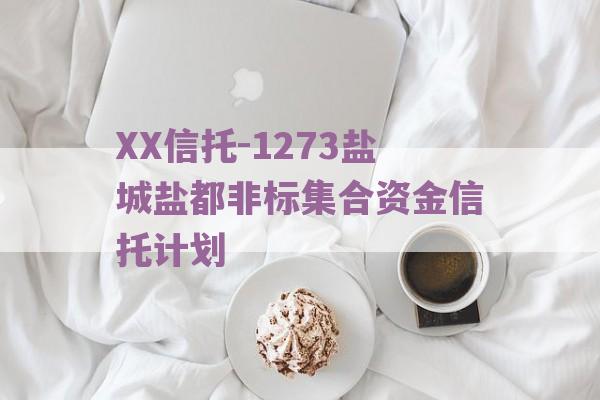 XX信托-1273盐城盐都非标集合资金信托计划