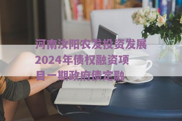 河南汝阳农发投资发展2024年债权融资项目一期政府债定融