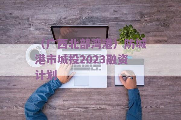 （广西北部湾港）防城港市城投2023融资计划