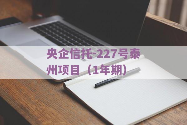 央企信托-227号泰州项目（1年期）