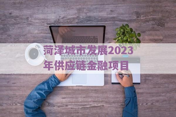 菏泽城市发展2023年供应链金融项目