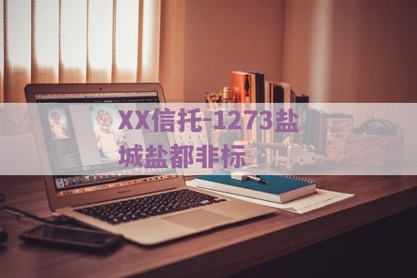 XX信托-1273盐城盐都非标