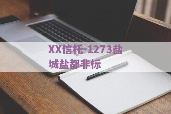 XX信托-1273盐城盐都非标