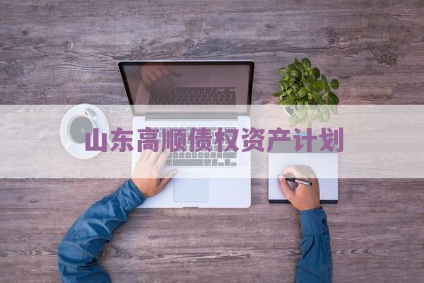 山东高顺债权资产计划