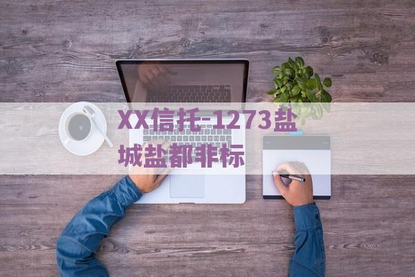 XX信托-1273盐城盐都非标