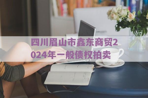 四川眉山市鑫东商贸2024年一般债权拍卖