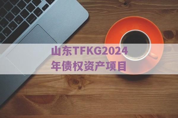 山东TFKG2024年债权资产项目