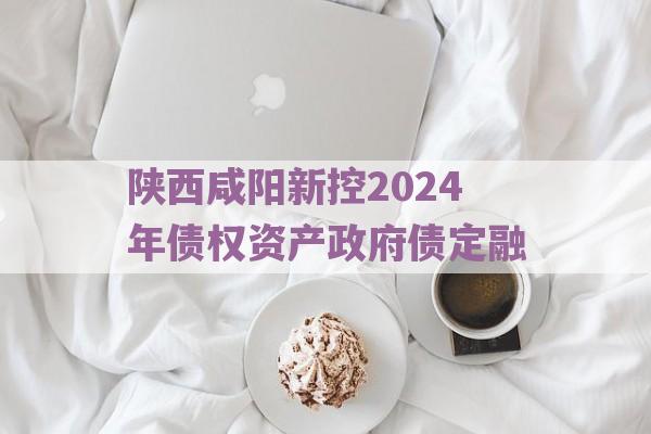 陕西咸阳新控2024年债权资产政府债定融