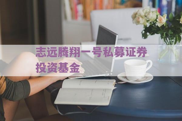 志远腾翔一号私募证券投资基金