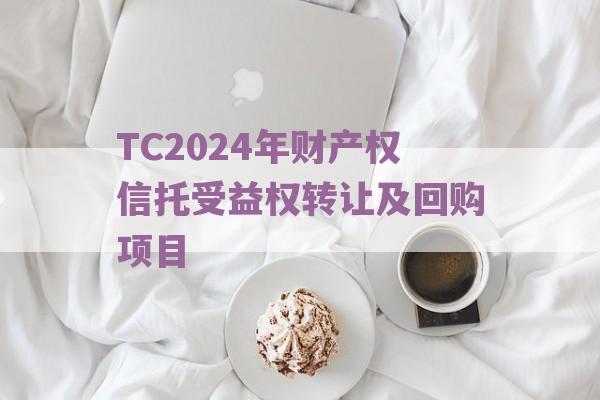 TC2024年财产权信托受益权转让及回购项目