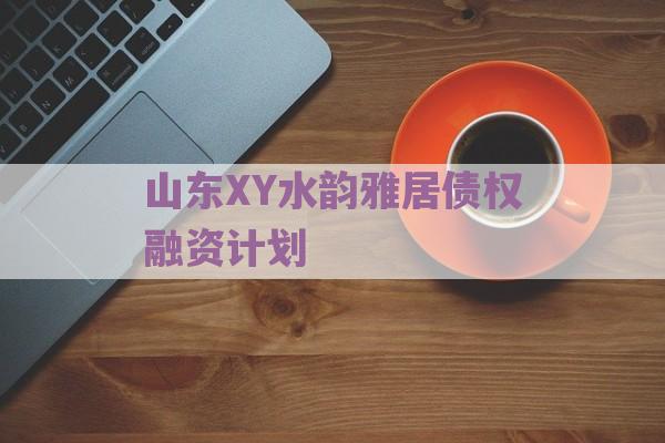 山东XY水韵雅居债权融资计划