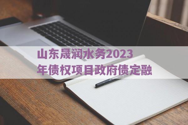 山东晟润水务2023年债权项目政府债定融