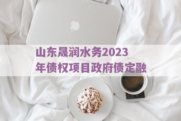 山东晟润水务2023年债权项目政府债定融