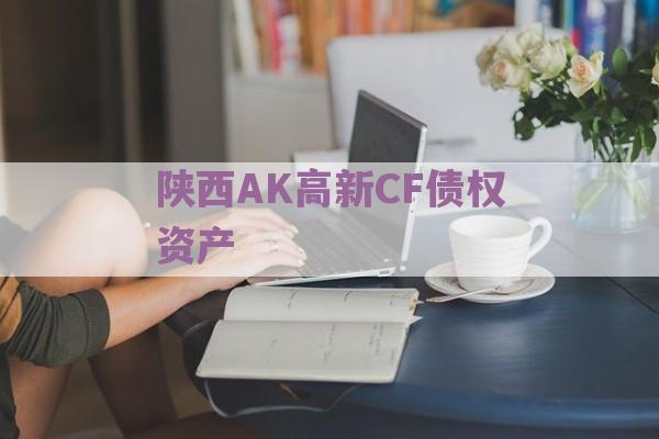 陕西AK高新CF债权资产