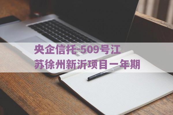 央企信托-509号江苏徐州新沂项目一年期